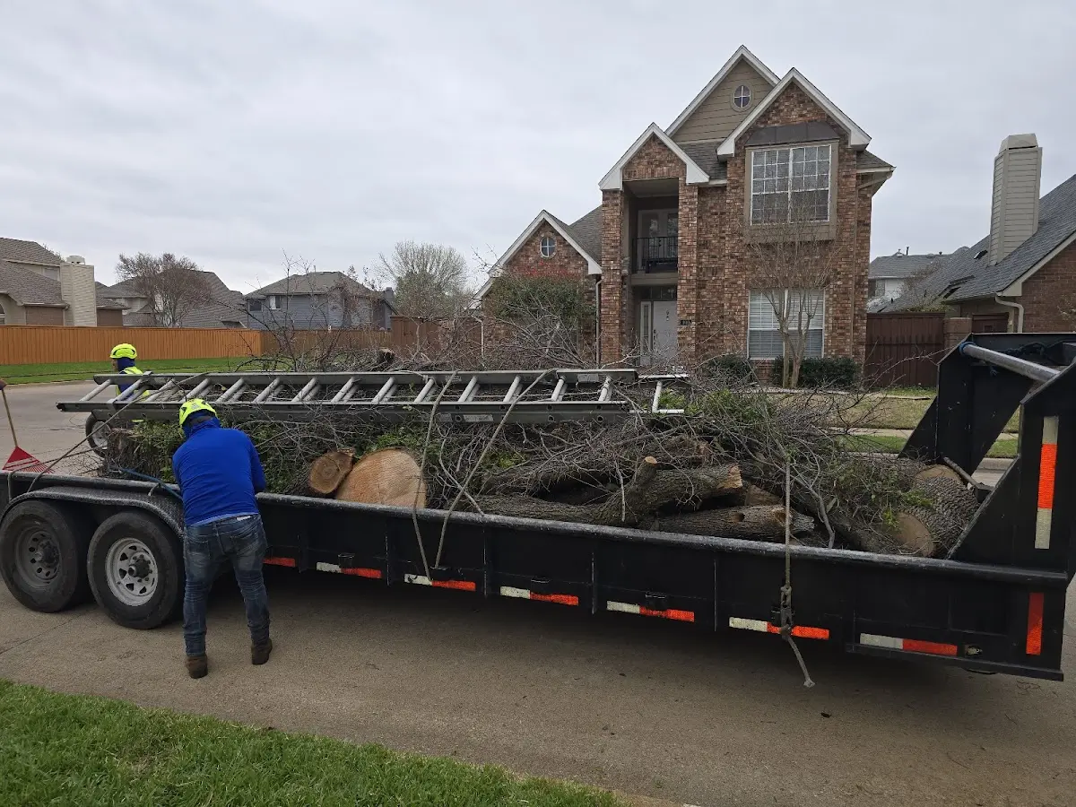 Expert Crown Reduction with proper safety equipment in Harkers Island